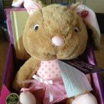 Story Buddy