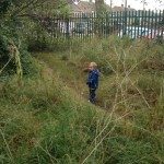 20120928-224318.jpg