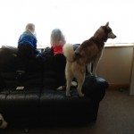 20121113-231619.jpg