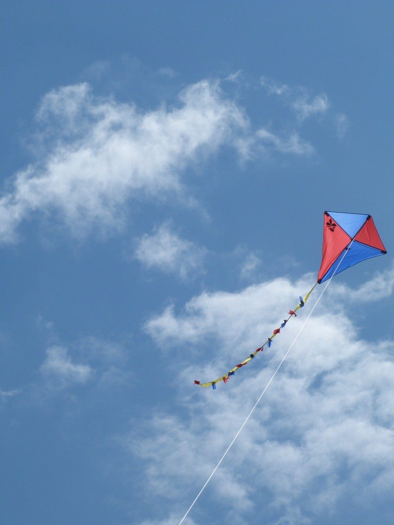 Kite