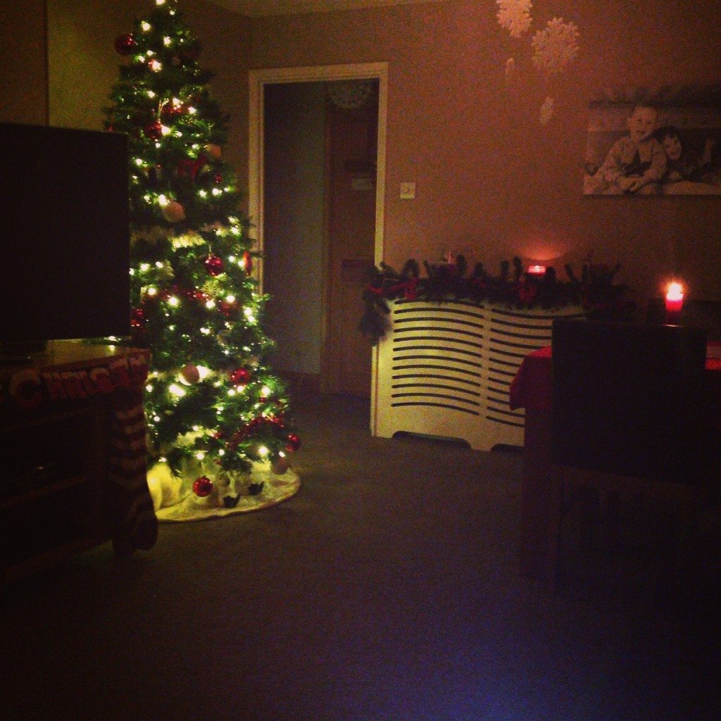 Our festive home - 2013