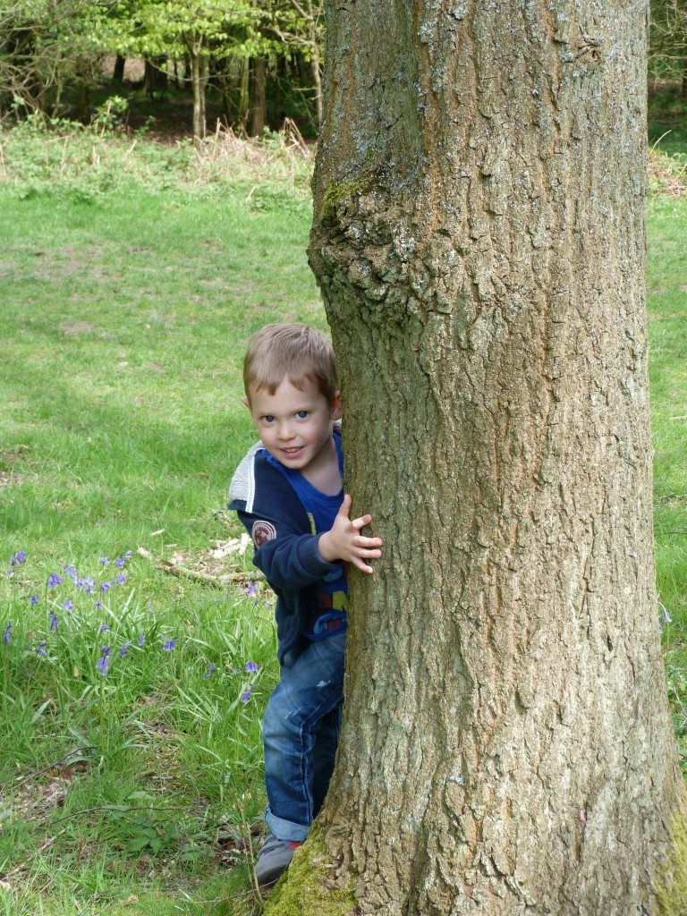 Ashridge Estate