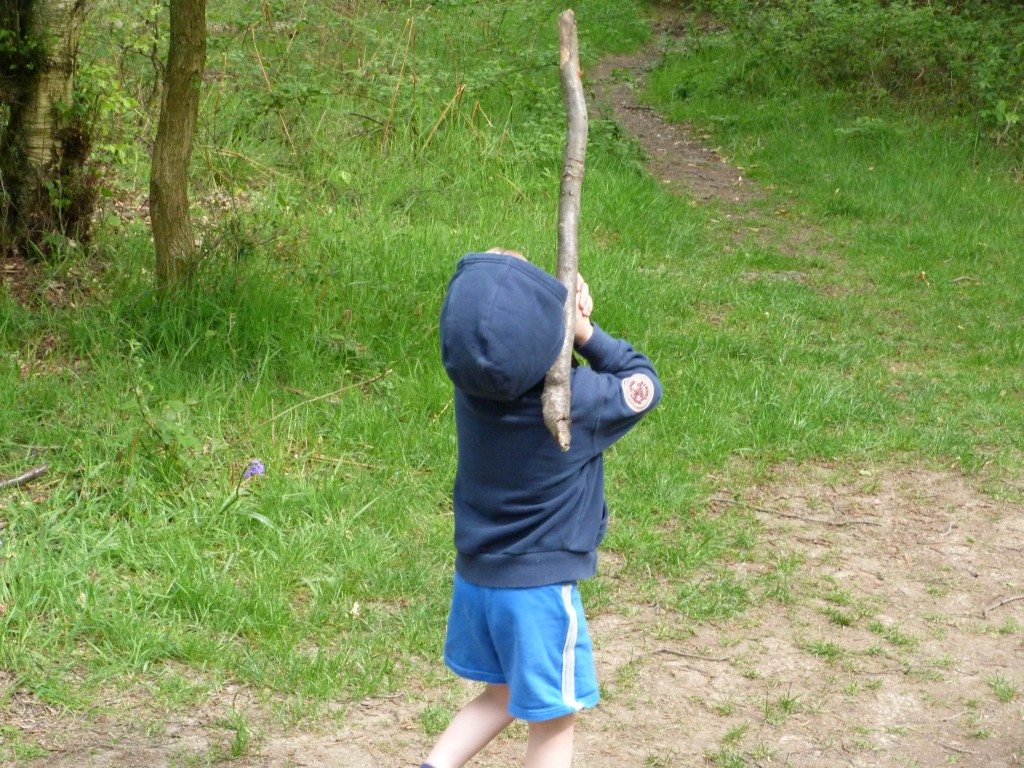 Pick a stick Ethan.. not a log!