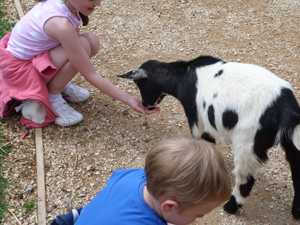 Whipsnade