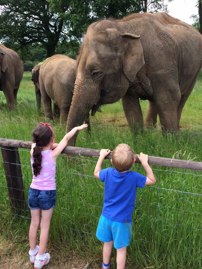 Whipsnade