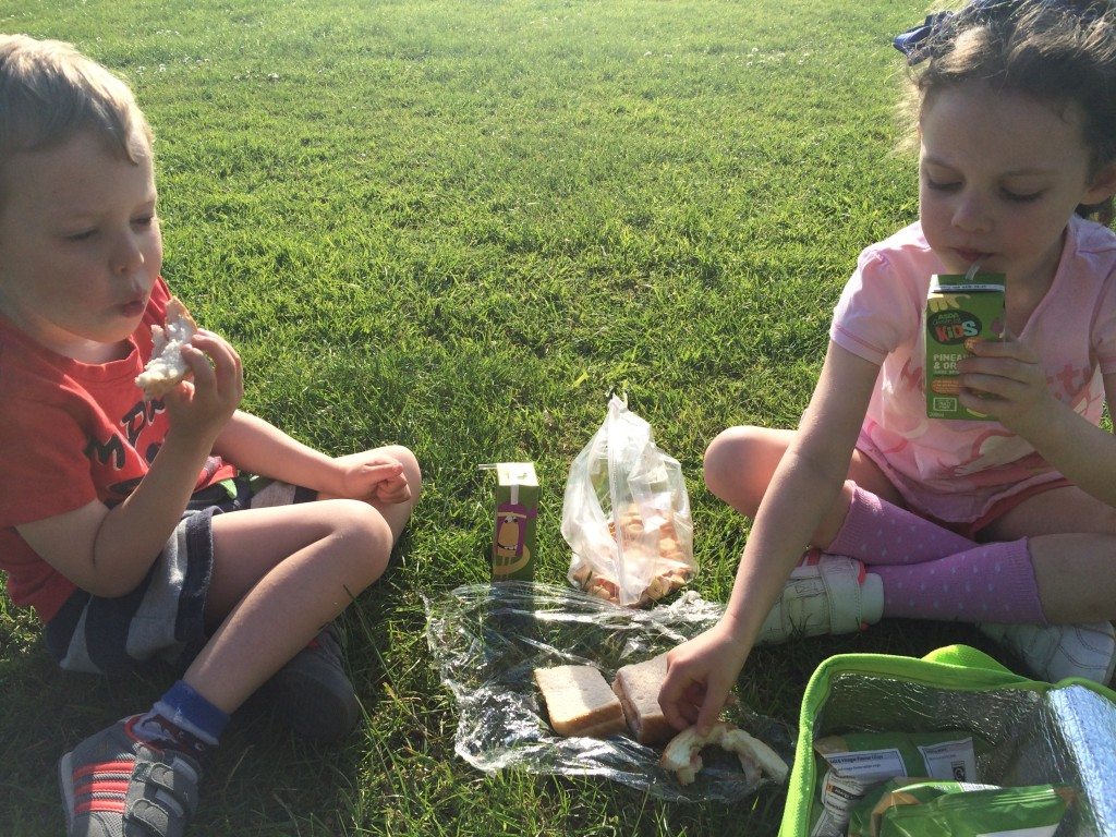 Picnic