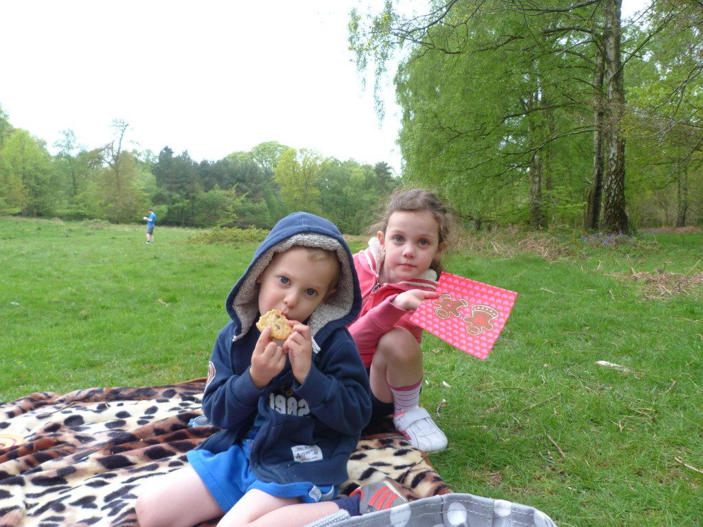 Picnic