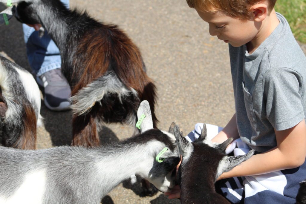 Hamerton Zoo Park