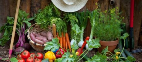 3 Reasons An Outdoor Kitchen Could Bring Back The Joy Of Cooking