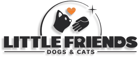 Little Friends: Dogs & Cats Review