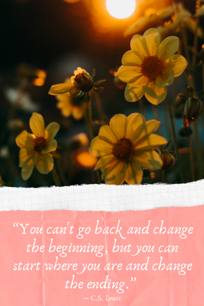 “You can't go back and change the beginning, but you can start where you are and change the ending.” ― C.S. Lewis. Getting back on track with the blog