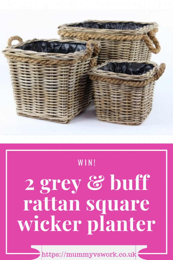 2 grey & buff rattan square wicker planters