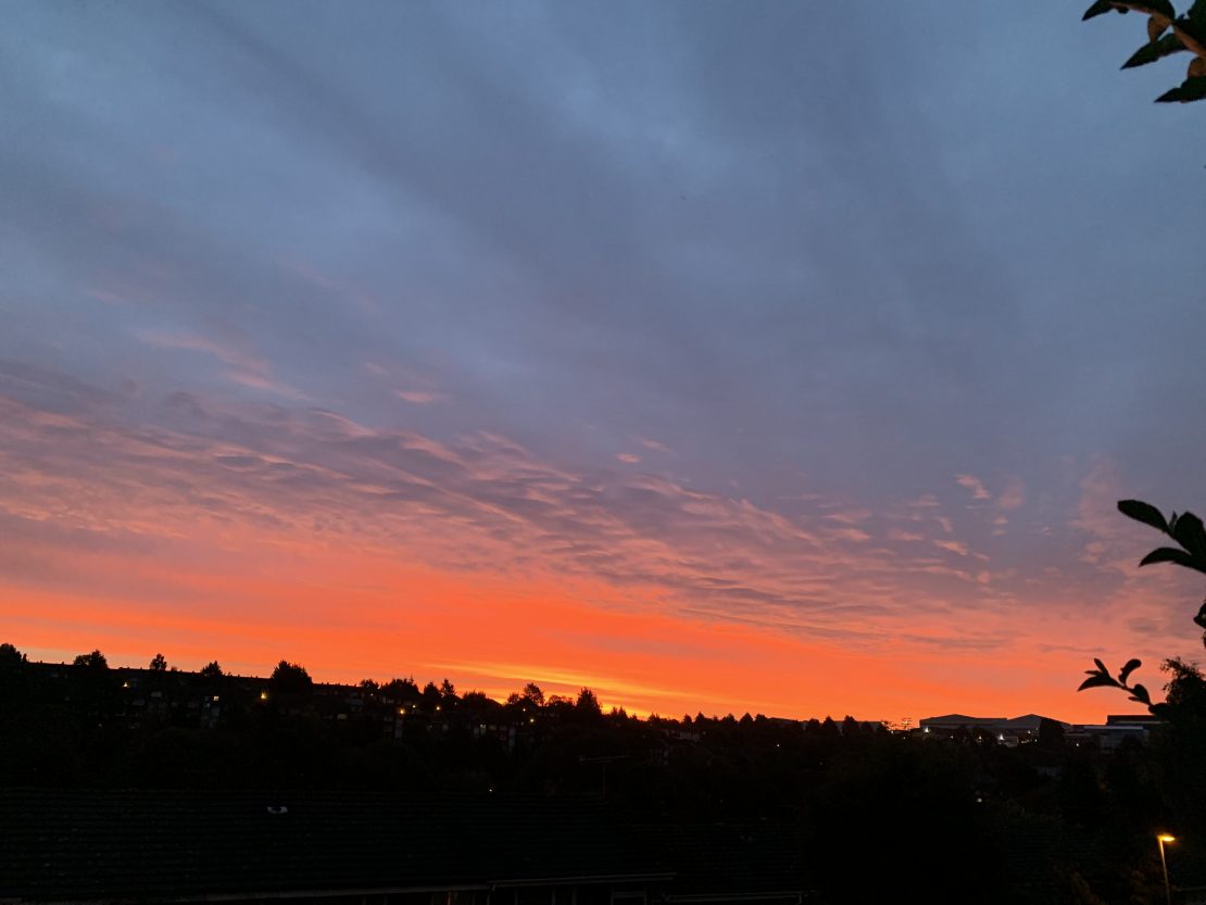 Our week in one picture - 13/10/19