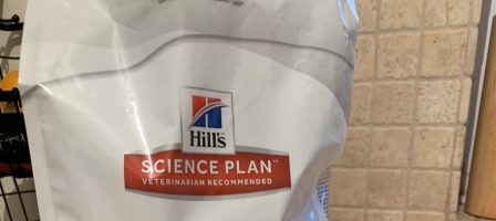 Hill’s Dog food review