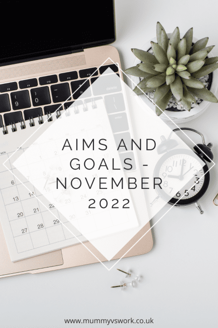 Aims and goals – November 2022