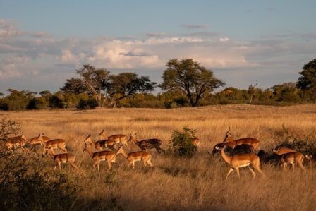 Best Places to Visit in Zimbabwe for First-Timers