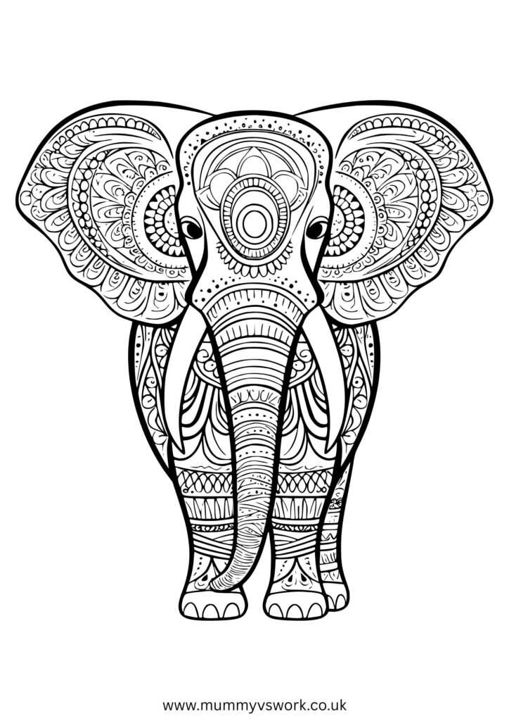 decorative elephant mandala tribal patterns creative colouring preview