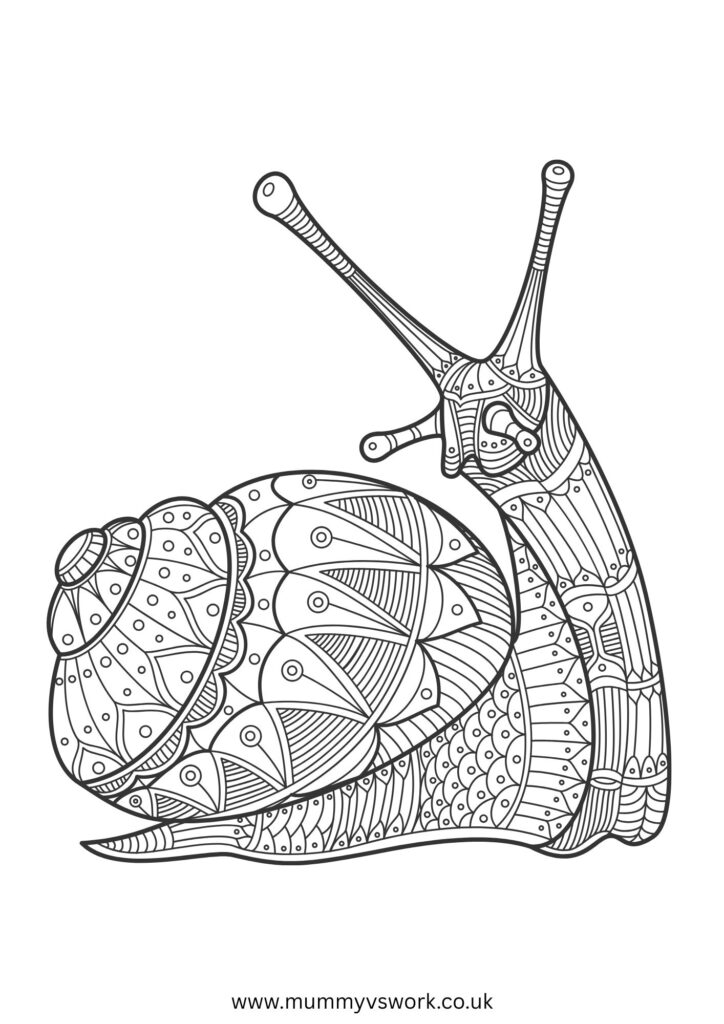 Decorative snail mandala with geometric shell patterns and intricate line work - family colouring sheet PDF