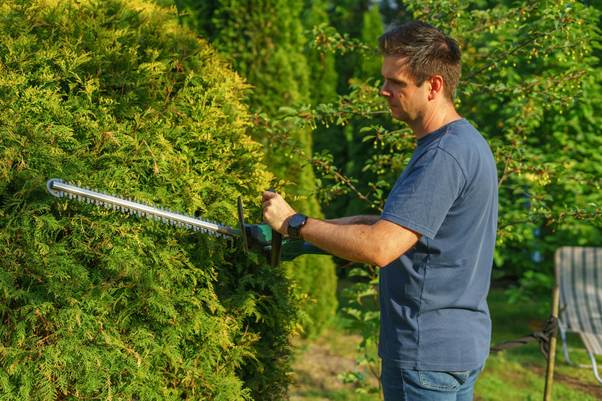 Five Must-Have Electric Tools for Busy Parents Who Love Their Garden